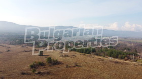 ПАРЦЕЛ, 4 950 m2 - Holmes.bg ПАРЦЕЛ, 4 950 m2