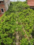 Продава КЪЩА, област Кюстендил, гр. Кочериново • 160000 € • 55591042 6 — Holmes.bg Продава КЪЩА, област Кюстендил, гр. Кочериново • 160000 € • 55591042 6