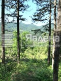 Продава ПАРЦЕЛ, област София, с. Владо Тричков • 12000 € • 50653299 2 — Holmes.bg Продава ПАРЦЕЛ, област София, с. Владо Тричков • 12000 € • 50653299 2