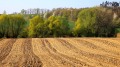 Продава Земеделска земя област Добрич , гр. Добрич , 29 дка | 60392646 — Imoti.com Продава Земеделска земя област Добрич , гр. Добрич , 29 дка | 60392646