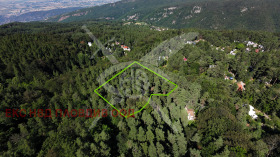 Продава Парцел, с. Равнища