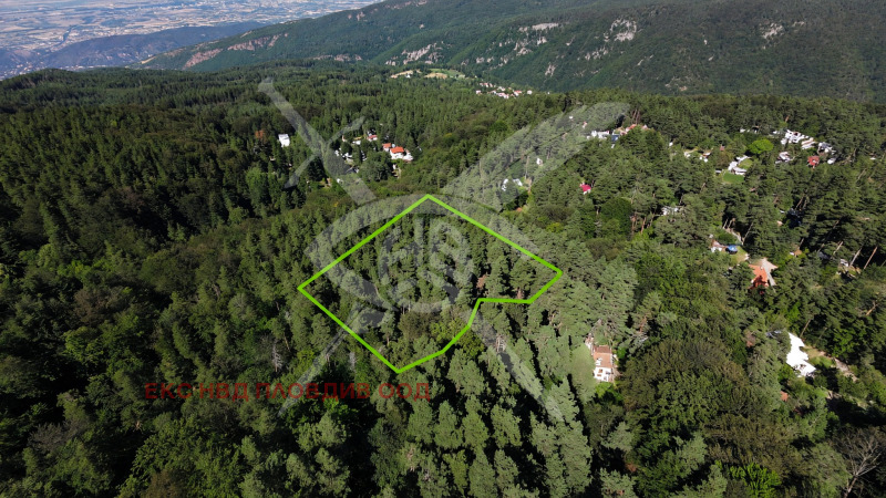 Продава ПАРЦЕЛ, област Смолян, с. Равнища • 92160 € • 63789425 1 — Holmes.bg Продава ПАРЦЕЛ, област Смолян, с. Равнища • 92160 € • 63789425 1