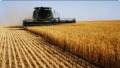 Продава Земеделска земя област Шумен , с. Кълново , 20.354 дка | 11688966 — Imoti.com Продава Земеделска земя област Шумен , с. Кълново , 20.354 дка | 11688966