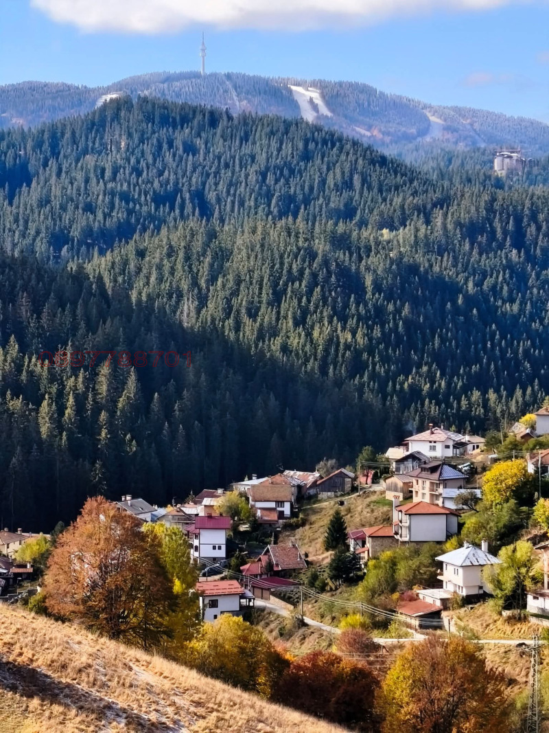 Продава ПАРЦЕЛ, област Смолян, с. Проглед • 56000 € • 12781207 1 — Holmes.bg Продава ПАРЦЕЛ, област Смолян, с. Проглед • 56000 € • 12781207 1