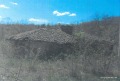 Продава ПАРЦЕЛ, област София, с. Очуша • 8000 € / 15646.64 лв. • 95929016 4 — Holmes.bg Продава ПАРЦЕЛ, област София, с. Очуша • 8000 € / 15646.64 лв. • 95929016 4