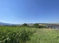Продава Парцел област Перник , с. Драгичево , 4289 кв.м | 70333696 — Imoti.com Продава Парцел област Перник , с. Драгичево , 4289 кв.м | 70333696