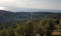 Продава ПАРЦЕЛ, Гърция, Халкидики • 140000 € / 273816.20 лв. • 38296737 11 — Holmes.bg Продава ПАРЦЕЛ, Гърция, Халкидики • 140000 € / 273816.20 лв. • 38296737 11