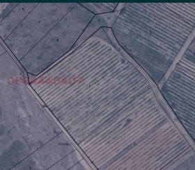 Продажба на земеделски земи в област Благоевград - изображение 2 