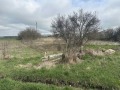 Продава Парцел област Добрич , с. Царичино , 1283 кв.м | 59522993 — Imoti.com Продава Парцел област Добрич , с. Царичино , 1283 кв.м | 59522993