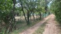 Продава ПАРЦЕЛ, област София, с. Горна Малина • 12000 € / 23469.96 лв. • 74306503 7 — Holmes.bg Продава ПАРЦЕЛ, област София, с. Горна Малина • 12000 € / 23469.96 лв. • 74306503 7