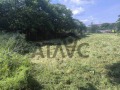 Продава ПАРЦЕЛ, област Пловдив, с. Цалапица • 51999 € / 101701.20 лв. • 35767836 3 — Holmes.bg Продава ПАРЦЕЛ, област Пловдив, с. Цалапица • 51999 € / 101701.20 лв. • 35767836 3