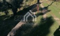 Продава ПАРЦЕЛ, Гърция, Халкидики • 800000 € / 1564664.00 лв. • 82212852 16 — Holmes.bg Продава ПАРЦЕЛ, Гърция, Халкидики • 800000 € / 1564664.00 лв. • 82212852 16