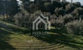 Продава ПАРЦЕЛ, Гърция, Халкидики • 800000 € / 1564664.00 лв. • 82212852 17 — Holmes.bg Продава ПАРЦЕЛ, Гърция, Халкидики • 800000 € / 1564664.00 лв. • 82212852 17
