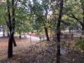 Продава 2-СТАЕН, град София, Свобода • 148000 € / 289462.84 лв. • 64834260 17 — Holmes.bg Продава 2-СТАЕН, град София, Свобода • 148000 € / 289462.84 лв. • 64834260 17