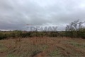 Продава ПАРЦЕЛ, област Варна, с. Щипско • 19900 € • 35590115 4 — Holmes.bg Продава ПАРЦЕЛ, област Варна, с. Щипско • 19900 € • 35590115 4