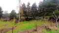 Продава ПАРЦЕЛ, област София, в.з.Ярема • 84998 € • 66164490 4 — Holmes.bg Продава ПАРЦЕЛ, област София, в.з.Ярема • 84998 € • 66164490 4