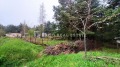 Продава ПАРЦЕЛ, област София, в.з.Ярема • 84998 € • 66164490 3 — Holmes.bg Продава ПАРЦЕЛ, област София, в.з.Ярема • 84998 € • 66164490 3