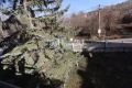 Продава КЪЩА, град София, в.з.Люлин • 320000 € / 625865.60 лв. • 59745703 8 — Holmes.bg Продава КЪЩА, град София, в.з.Люлин • 320000 € / 625865.60 лв. • 59745703 8