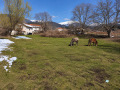 Продава ПАРЦЕЛ, област Благоевград, с. Добърско • 63900 € • 65917296 5 — Holmes.bg Продава ПАРЦЕЛ, област Благоевград, с. Добърско • 63900 € • 65917296 5
