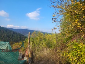 Обява Продава ПАРЦЕЛ,с. Дълбок дол, област Ловеч>