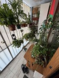 Продава 2-СТАЕН, град София, Карпузица • 139999 € / 273814.24 лв. • 82097271 7 — Holmes.bg Продава 2-СТАЕН, град София, Карпузица • 139999 € / 273814.24 лв. • 82097271 7