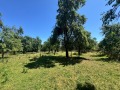 Продава КЪЩА, област Габрово, с. Райновци • 45000 € / 88012.35 лв. • 90138693 6 — Holmes.bg Продава КЪЩА, област Габрово, с. Райновци • 45000 € / 88012.35 лв. • 90138693 6