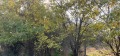 Продава Парцел област Пловдив , с. Ясно поле , 850 кв.м | 28687897 — Imoti.com Продава Парцел област Пловдив , с. Ясно поле , 850 кв.м | 28687897