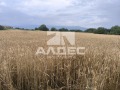 Продава ПАРЦЕЛ, град Пазарджик, Запад • 373900 € / 731284.84 лв. • 94223887 5 — Holmes.bg Продава ПАРЦЕЛ, град Пазарджик, Запад • 373900 € / 731284.84 лв. • 94223887 5