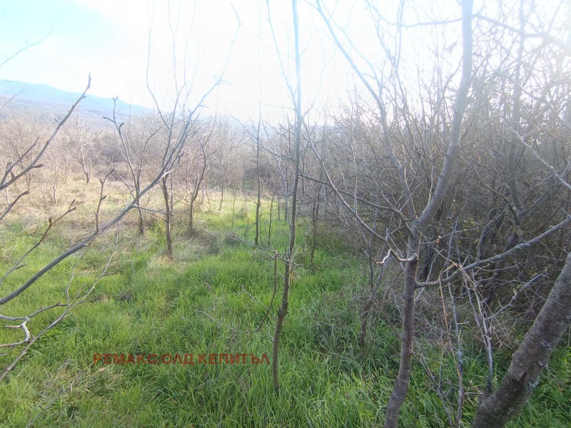 Продава ПАРЦЕЛ, област Велико Търново, гр. Килифарево • 40000 € / 78233.20 лв. • 32442844 1 — Holmes.bg Продава ПАРЦЕЛ, област Велико Търново, гр. Килифарево • 40000 € / 78233.20 лв. • 32442844 1