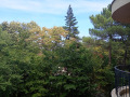 Продава 2-СТАЕН, град Варна, к.к. Златни пясъци • 105000 € • 19811609 7 — Holmes.bg Продава 2-СТАЕН, град Варна, к.к. Златни пясъци • 105000 € • 19811609 7