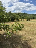 Продава ПАРЦЕЛ, област Монтана, гр. Берковица • 29500 € / 57696.99 лв. • 42117071 2 — Holmes.bg Продава ПАРЦЕЛ, област Монтана, гр. Берковица • 29500 € / 57696.99 лв. • 42117071 2