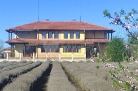 Продажба на имоти в с. Царичино, област Добрич - изображение 15 