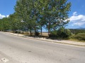 Продава ПАРЦЕЛ, област Благоевград, гр. Разлог • 628720 € • 65096104 13 — Holmes.bg Продава ПАРЦЕЛ, област Благоевград, гр. Разлог • 628720 € • 65096104 13