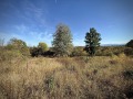 Продава КЪЩА, област Велико Търново, гр. Елена • 24000 € • 45108264 15 — Holmes.bg Продава КЪЩА, област Велико Търново, гр. Елена • 24000 € • 45108264 15