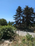 Продава 1-СТАЕН, град Варна, Галата • 99000 € / 193627.17 лв. • 24492314 1 — Holmes.bg Продава 1-СТАЕН, град Варна, Галата • 99000 € / 193627.17 лв. • 24492314 1
