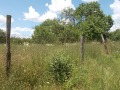 Продава ПАРЦЕЛ, област Добрич, с. Славеево • 25000 € / 48895.75 лв. • 39334403 2 — Holmes.bg Продава ПАРЦЕЛ, област Добрич, с. Славеево • 25000 € / 48895.75 лв. • 39334403 2