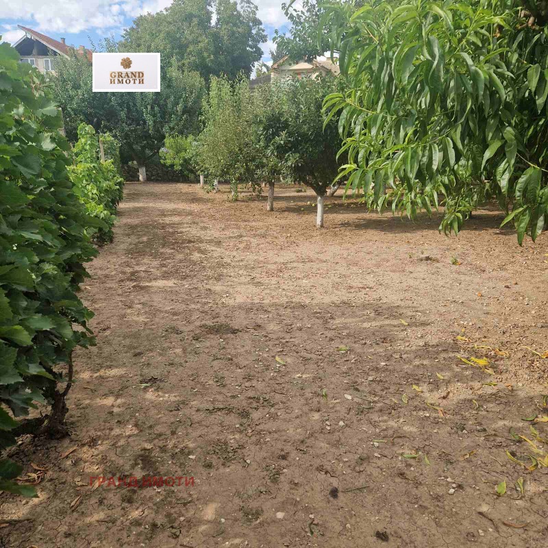 Продава ПАРЦЕЛ, област Русе, с. Басарбово • 57000 € / 111482.31 лв. • 39933547 1 — Holmes.bg Продава ПАРЦЕЛ, област Русе, с. Басарбово • 57000 € / 111482.31 лв. • 39933547 1
