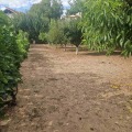 Продава ПАРЦЕЛ, област Русе, с. Басарбово • 57000 € / 111482.31 лв. • 39933547 1 — Holmes.bg Продава ПАРЦЕЛ, област Русе, с. Басарбово • 57000 € / 111482.31 лв. • 39933547 1