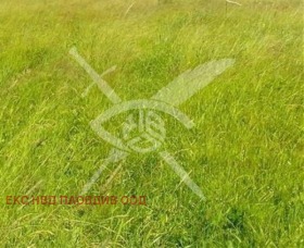 ПАРЦЕЛ, 900 m2 - Holmes.bg ПАРЦЕЛ, 900 m2