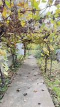 Продава КЪЩА, област Варна, с. Горен чифлик • 45000 € • 17247186 6 — Holmes.bg Продава КЪЩА, област Варна, с. Горен чифлик • 45000 € • 17247186 6