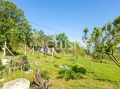 Продава ПАРЦЕЛ, област Варна, гр. Белослав • 64999 € • 63137253 14 — Holmes.bg Продава ПАРЦЕЛ, област Варна, гр. Белослав • 64999 € • 63137253 14