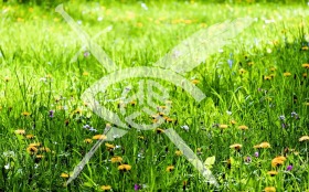 ПАРЦЕЛ, 10 717 m2 - Holmes.bg ПАРЦЕЛ, 10 717 m2