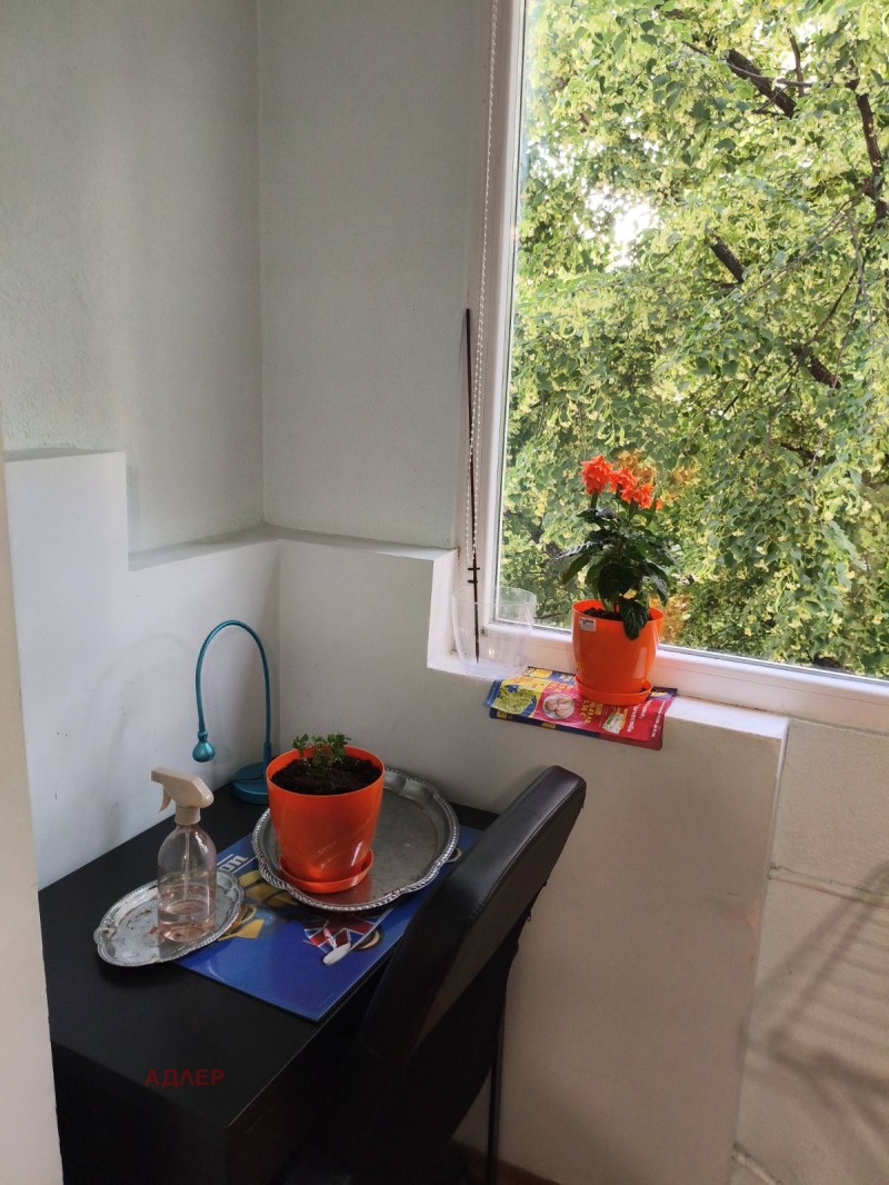 Под наем 3-СТАЕН, град София, Толстой • 500 € / 977.91 лв. • 44564227 1 — Holmes.bg Под наем 3-СТАЕН, град София, Толстой • 500 € / 977.91 лв. • 44564227 1