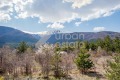 Под наем КЪЩА, град София, с. Бистрица • 3500 € / 6845.40 лв. • 42617181 17 — Holmes.bg Под наем КЪЩА, град София, с. Бистрица • 3500 € / 6845.40 лв. • 42617181 17