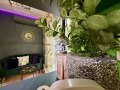 Под наем ОФИС, град Варна, Лятно кино Тракия • 700 € • 20389327 10 — Holmes.bg Под наем ОФИС, град Варна, Лятно кино Тракия • 700 € • 20389327 10