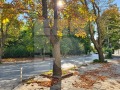 Под наем 3-СТАЕН, град Варна, Гръцка махала • 800 € • 77223078 7 — Holmes.bg Под наем 3-СТАЕН, град Варна, Гръцка махала • 800 € • 77223078 7