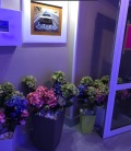 Под наем 1-СТАЕН, град София, Малинова долина • 399 € • 86502135 2 — Holmes.bg Под наем 1-СТАЕН, град София, Малинова долина • 399 € • 86502135 2