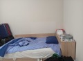 Под наем 4-СТАЕН, град Шумен, Добруджански • 420 € • 60476853 9 — Holmes.bg Под наем 4-СТАЕН, град Шумен, Добруджански • 420 € • 60476853 9