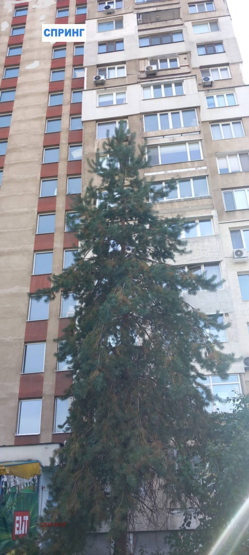 Под наем АТЕЛИЕ, ТАВАН, град София, Люлин 3 • 370 € • 14263801 1 — Holmes.bg Под наем АТЕЛИЕ, ТАВАН, град София, Люлин 3 • 370 € • 14263801 1