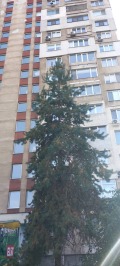 Под наем АТЕЛИЕ, ТАВАН, град София, Люлин 3 • 370 € • 14263801 1 — Holmes.bg Под наем АТЕЛИЕ, ТАВАН, град София, Люлин 3 • 370 € • 14263801 1